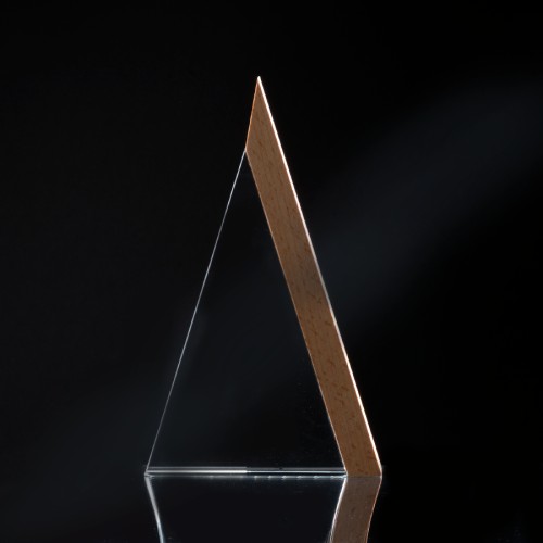 Trofeo Galvano de Madera y Cristal 